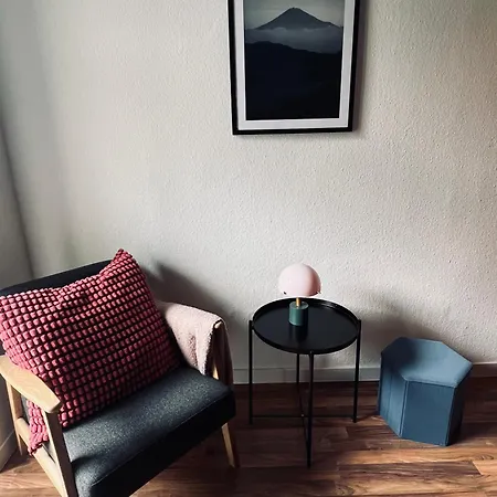 Atelier Noé Rosé- Kunstvoll Wohnen - Wunderbares Frühstück Möglich - Ruhig Und Nah Am Zentrum - * Chemnitz